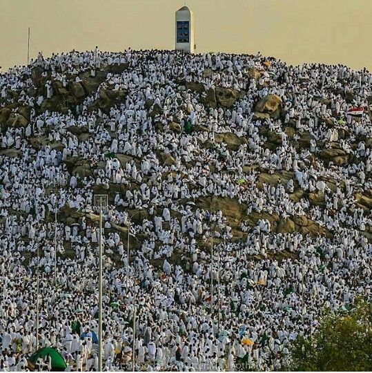 Saudi Perkuat Layanan Edukasi di Jabal Rahmah, Ada Ulama hingga Penerjemah Multibahasa